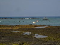 Snorkeling at Kahalu'u Beach
