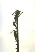 22April040.jpg