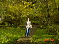 The forest behind Caerlaverock Castle