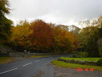 Gorgeous colors of fall