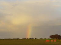 Beautiful rainbow