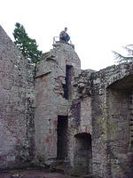 Mickey assended the tower through the tight winding staircase