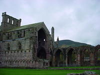 DSC01650.JPG