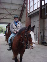 Three hours of pony-trekking is tough on the bum