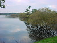 DSC01704.JPG