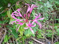 DSC01712.JPG