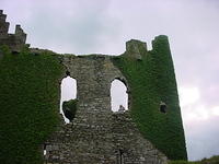 DSC01717.JPG