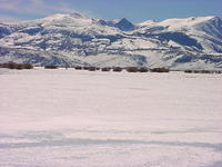 tahoe trip 018.jpg