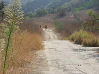 IMG_4023.JPG