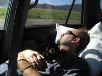 7 a.m. nap time for Mickey after a night of gambling in Vegas.
