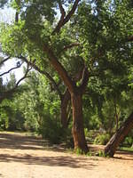The campground in Moab.