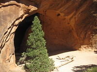 Navajo Arch