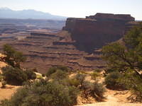 IMG_1200.JPG