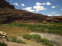 The Colorado River was WAY over its banks.