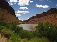 IMG_1255.JPG