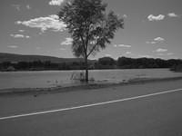 The Colorado River was so high that some parts were on the highway.