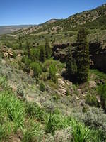 IMG_1307.JPG