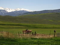IMG_1330.JPG