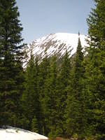 IMG_1374.JPG