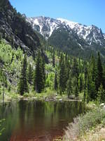 IMG_1581.JPG