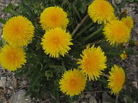 IMG_1645.JPG