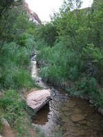 IMG_1732.JPG