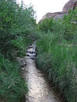 IMG_1733.JPG