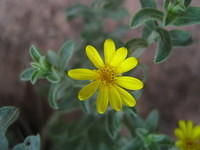 IMG_1736.JPG