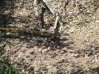 IMG_2680.jpg