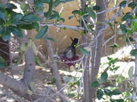 IMG_2696.jpg