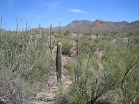 IMG_2720.jpg