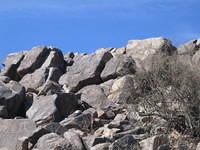 IMG_2726.jpg
