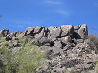 IMG_2727.jpg