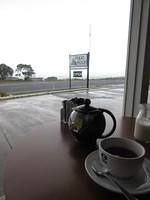 Stopped at a cafe for a cup of tea on our drive up to Kaikoura.