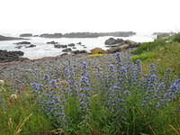 IMG_0480.JPG
