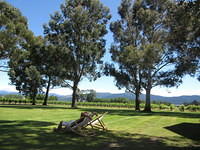 Relaxing at the Cloudy Bay winery