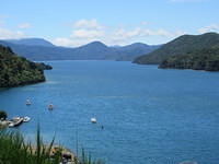 Queen Charlotte Sound from the viewpoint above Picton.