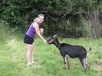 Feeding the goat at Smith's Farm
