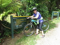 Mountain biking the Queen Charlotte Track