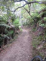 IMG_0681.JPG