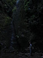 This waterfall looks small, but up close, it was beautiful to watch the water dribble down through the moss on the cliff.