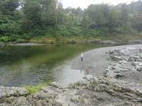 The river below Pelorus Bridge.