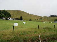 The wheat bails look like large marshmallows strewn across the fields.