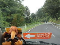 My view of my kiwi and the keep left reminder.