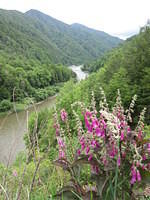IMG_0829.JPG