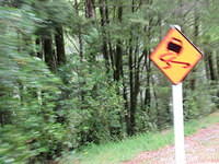 Crazy windy roads