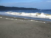 IMG_0867.JPG
