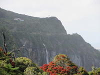 IMG_0886.JPG