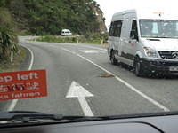 What does New Zealand call their speed bumps?  Possums!
The swerve to hit these invasive and destructive creatures.  We saw hundreds dead and one live one along the roads of New Zealand.