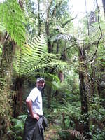 Hiking to the waterfall